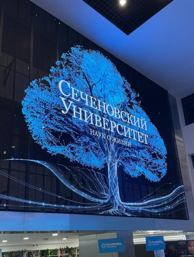 28–29 ноября 2025 года в Москве состоялся XVII международный симпозиум по спортивной медицине и реабилитологии под эгидой Первого МГМУ им. И. М. Сеченова. sportmed-sechenov.ru