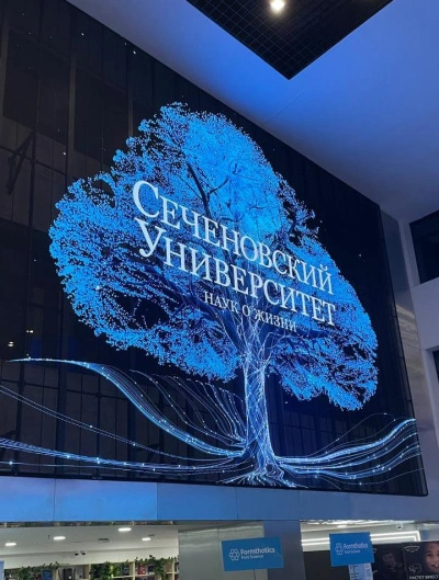 28–29 ноября 2025 года в Москве состоялся XVII международный симпозиум по спортивной медицине и реабилитологии под эгидой Первого МГМУ им. И. М. Сеченова. sportmed-sechenov.ru