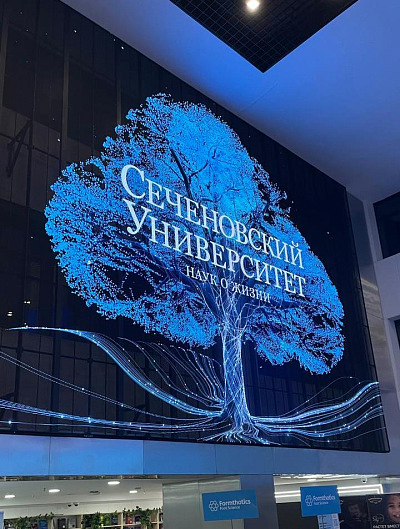 28–29 ноября 2025 года в Москве состоялся XVII международный симпозиум по спортивной медицине и реабилитологии под эгидой Первого МГМУ им. И. М. Сеченова. sportmed-sechenov.ru