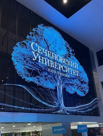 28–29 ноября 2025 года в Москве состоялся XVII международный симпозиум по спортивной медицине и реабилитологии под эгидой Первого МГМУ им. И. М. Сеченова. sportmed-sechenov.ru